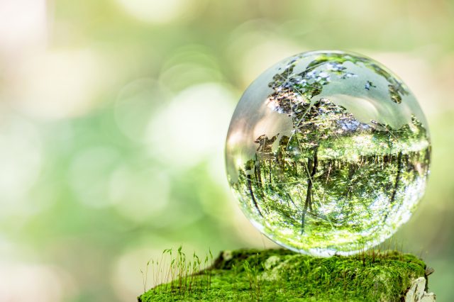 自分との調和を図るお手伝いをしています